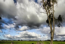 yy易游官方入口夏洛特黄蜂训练开放日，赛后止住颓势引欢呼，欧篮联在即，年轻球员得到机会的简单介绍